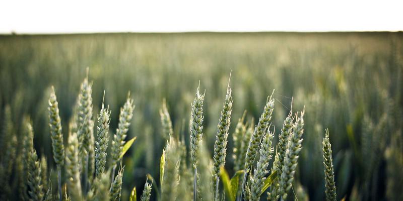 Linux系统运维:网络技术58场景下的核心实践与优化策略