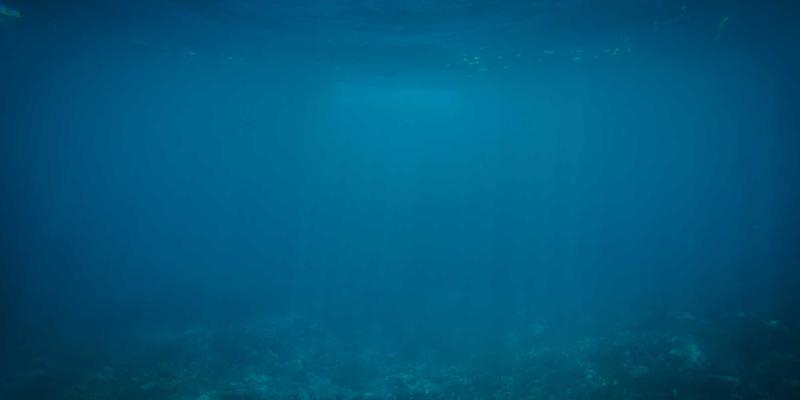 RJ3C网络技术深度解析：软件定义广域网中应用感知路由的智能算法与资源分享