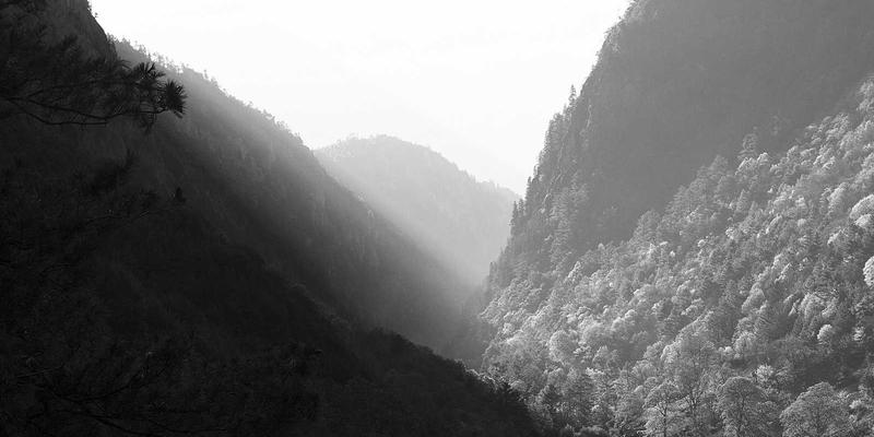 Wi-Fi 7前瞻：多链路操作如何为系统运维与Linux环境带来革命性无线体验