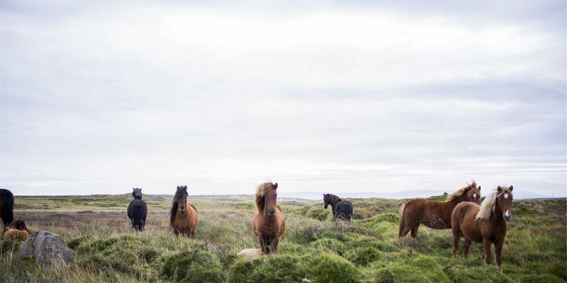 当Linux内核遇见RJ3C：禅意设计如何重塑网络技术应用新境界
