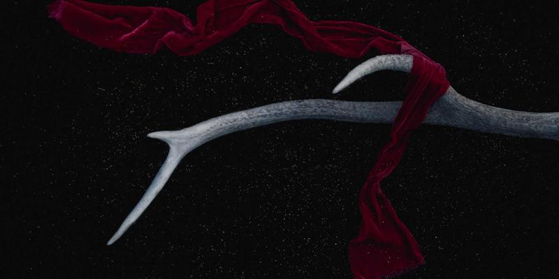 智能运维新纪元：基于AI的故障预测与根因分析如何重塑网络技术