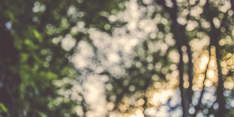 混合办公时代的安全基石：基于Linux与RJ3C理念的零信任网络架构（ZTNA）落地实践指南