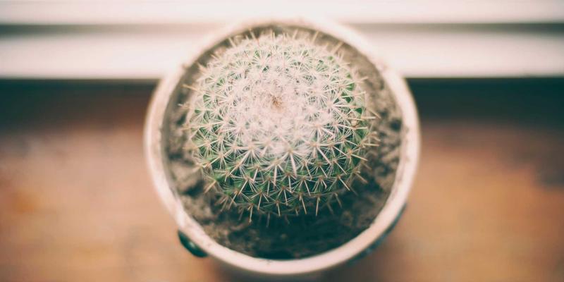 禅意设计、Linux与RJ3C：应对400G/800G高速以太网对数据中心互联架构的挑战与演进