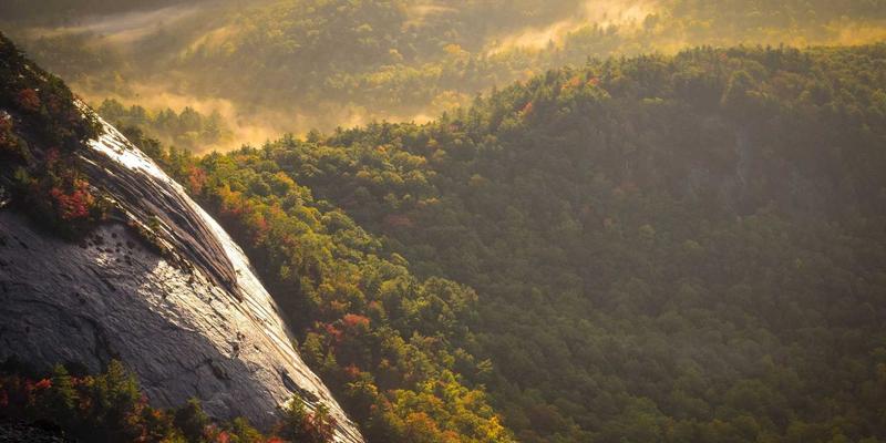 禅意设计、Linux与RJ3C：网络技术中的极简主义哲学