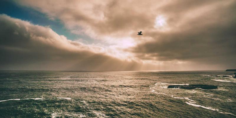 编程开发中的禅意设计：以极简资源构建高效工作流