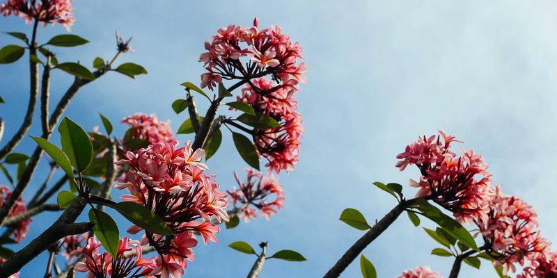 网络技术59：当禅意设计邂逅网络安全，RJ3C框架的和谐之道