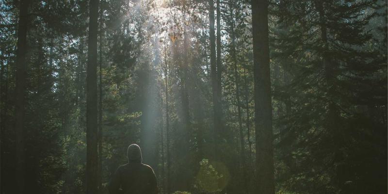 网络技术78:当系统运维遇见禅意设计,在数字世界构建秩序与美学的平衡